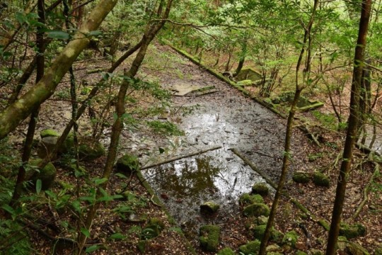 m_I003001001 DSC_9541.jpg