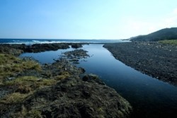 s_k001001013jpg.jpg
