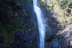 s_k001001016.jpg