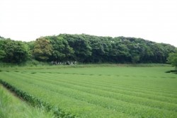 k005003013.JPG