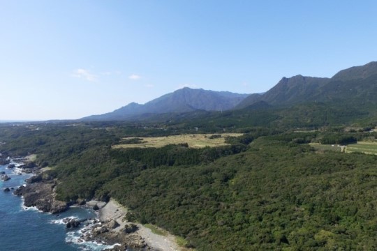 k006001001.JPG