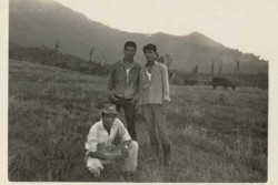 k006001005.jpg
