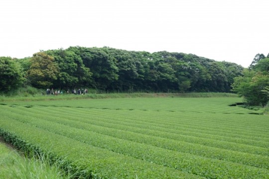 k007003001.JPG
