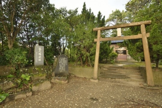n004010001_DSC0001.jpg