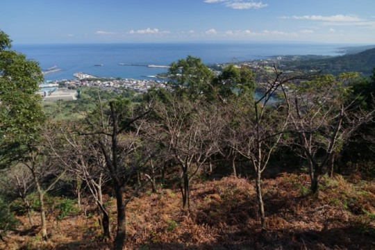 e004080001_01887.JPG