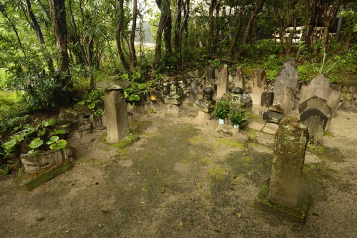 n004020001_DSC0020.jpg