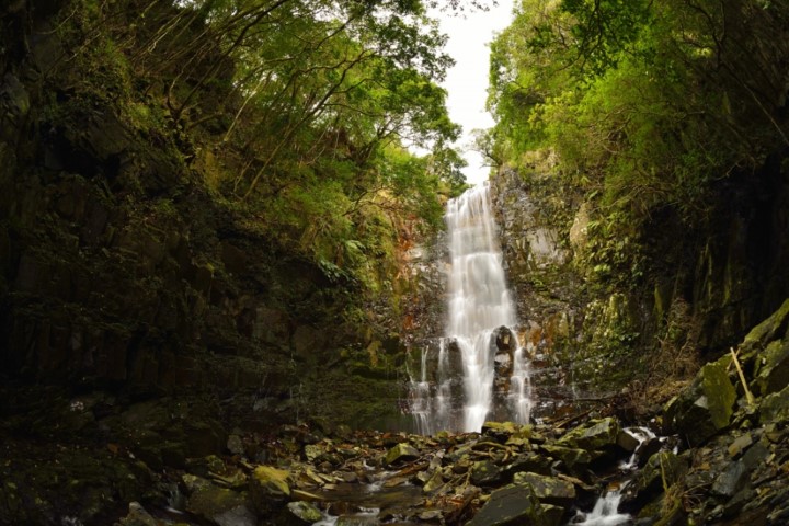 n001030001_DSC0058.jpg