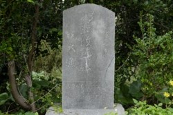 _DSF9709.JPG