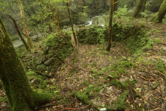 n004040001_DSC0239.jpg