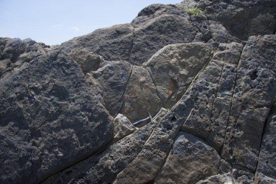 e001002001_8021.jpg