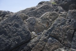e001002001_8021.jpg