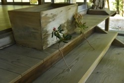 e002030017_2967.JPG