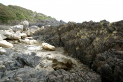 u004030003)予備DSC_4922.jpg