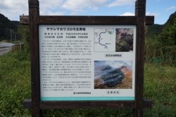 c001010007）_DSC01948.JPG