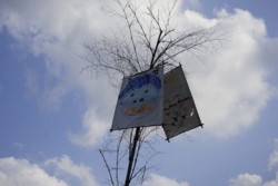 c002001006)_DSC2564.JPG