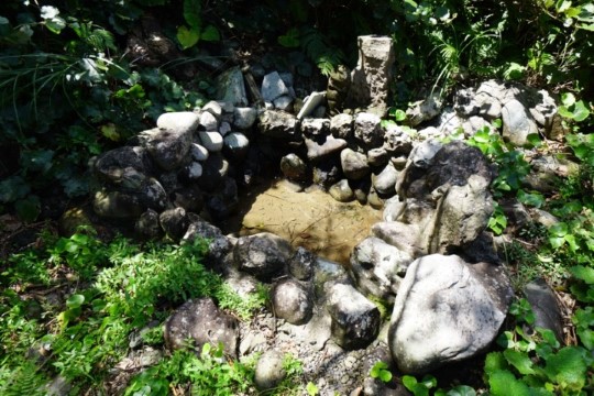 c004005001)_DSC07631.JPG
