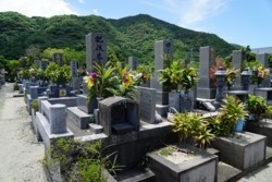 c005004004)_DSC07674.JPG