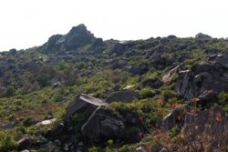 yz001001007.JPG