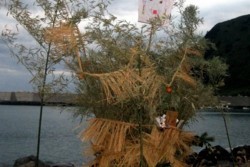 yz002003004.JPG
