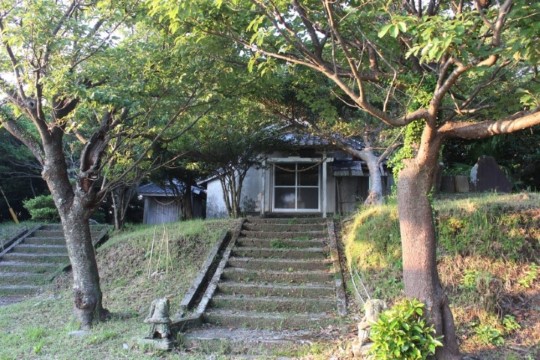 yz004001001.JPG
