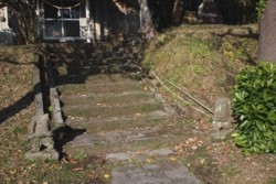 yz004001006.jpg