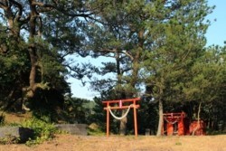 yz004002001.JPG