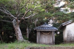 yz004002003.JPG