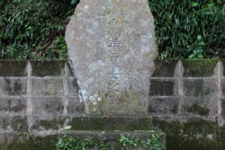 yz004002008.JPG