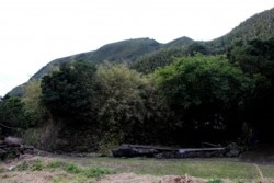 yz004002011.JPG