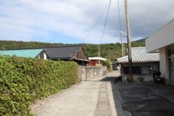 yz005001004.JPG