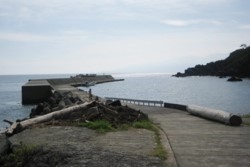 yz005001012.JPG