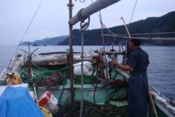 yz006002004.JPG