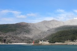 yz008002007.JPG
