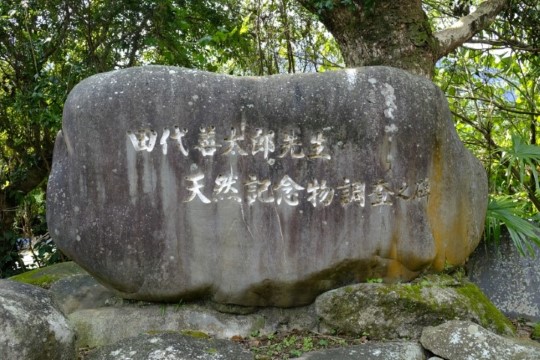 g004008001.JPG